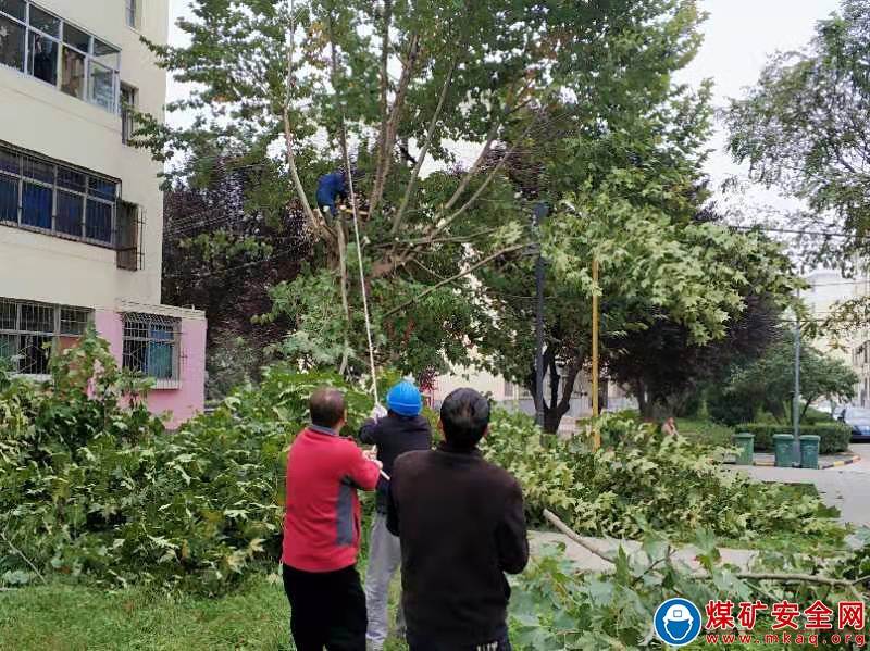 蒲白中心社區：防汛防凍兩手抓，開啟“雙線作戰”模式